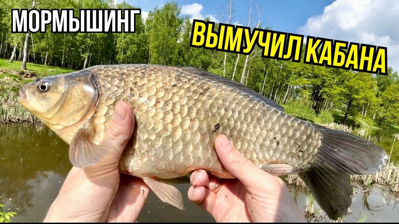 Мормышинг. Трудовая рыбалка на карася с Dayo Prestige CX 4 Travel
