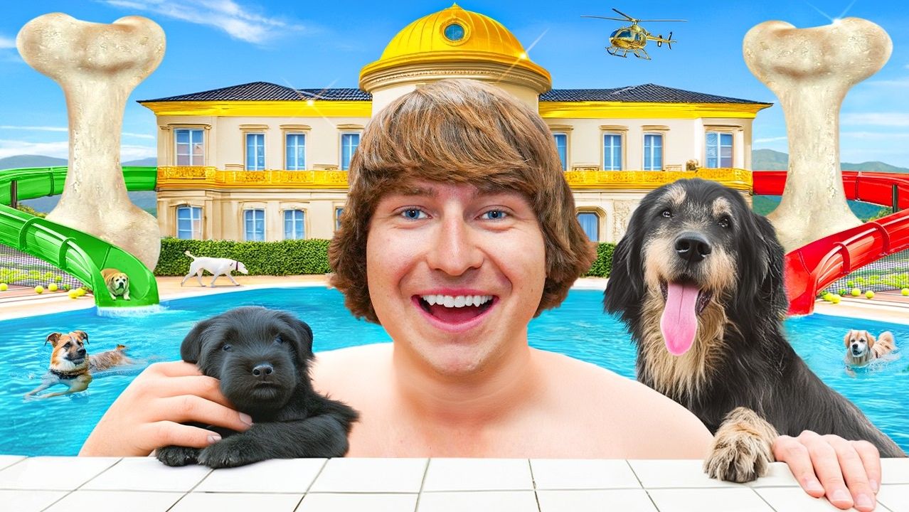 Открыл роскошный отель для четвероногих друзей!