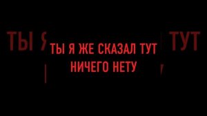 ТЫ Я ЖЕ СКАЗАЛ ТУТ НИЧЕГО НЕТУ