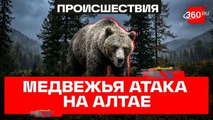 Медведь разорвал туристку на Алтае. Почему хищники терроризируют регионы России?