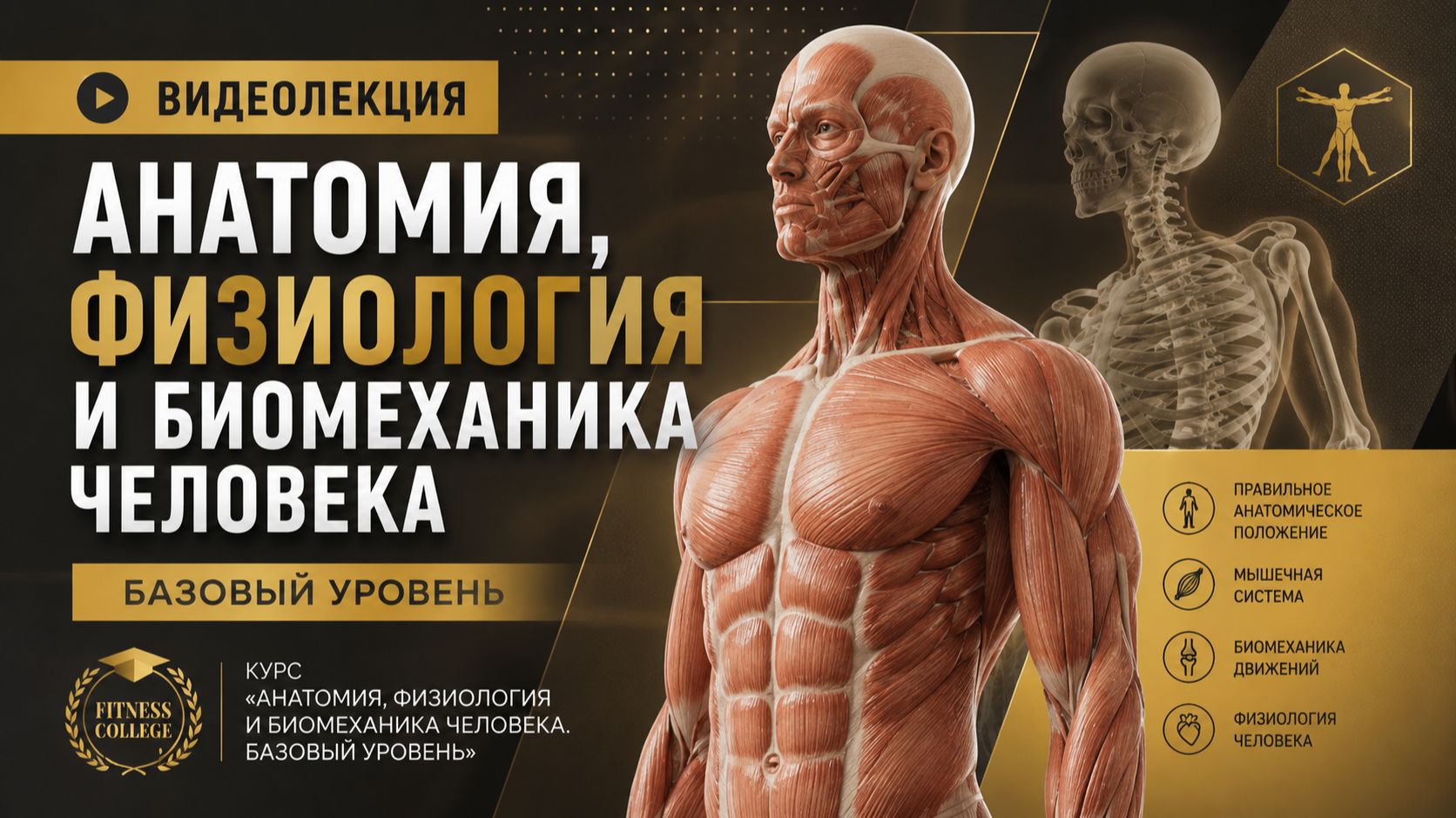 Видеолекция: ОСИ И ПЛОСКОСТИ. Общая анатомическая терминология