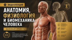 Видеолекция: ОСИ И ПЛОСКОСТИ. Общая анатомическая терминология