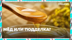 Медовая ловушка: как отличить настоящий мёд от фальсификата| Специальный репортаж
