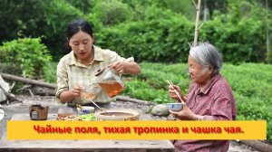 ШэньДань. Китай.  Чайные поля, тихая тропинка и чашка чая.