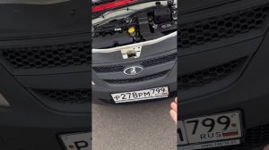 ЛАРГУСЫ НА ВЫБОР ❤️ ПО Халявной цене