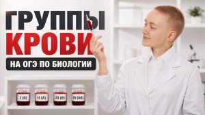 Группы крови | Решаем реальные задания ОГЭ по биологии 2026 | Елена Зеленская | Умскул