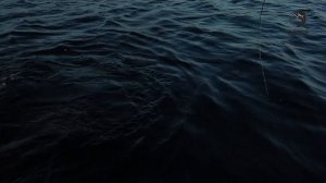Добыть и выжить (вып 5)