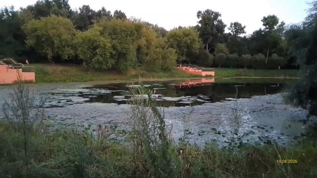 Парк «Свибловские пруды» 10.08.2026