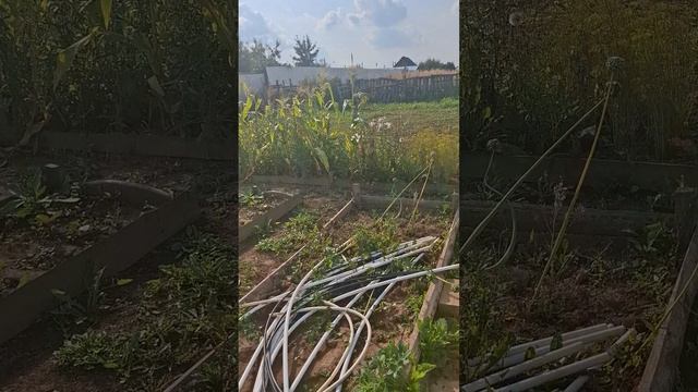 Результат нашего покоса