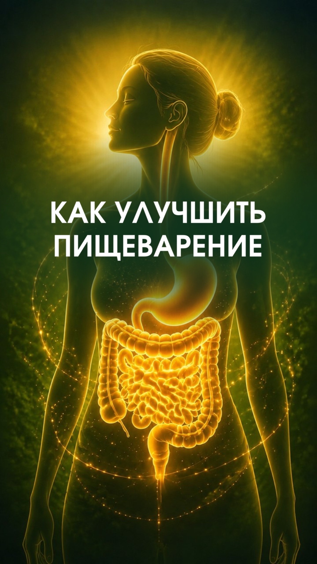 Как улучшить пишеварение
