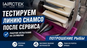 Потрошение скумбрии на аппарате Chamco