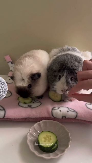 милашки💋