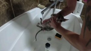 СПАСЛИ ЖИЗНЬ ЕЩЕ ОДНОМУ МАЛЫШУ..😍