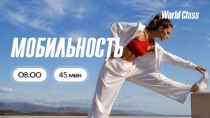 МОБИЛЬНОСТЬ с Альбертом Даниловым | 19 августа 2026 | Онлайн-тренировки World Class