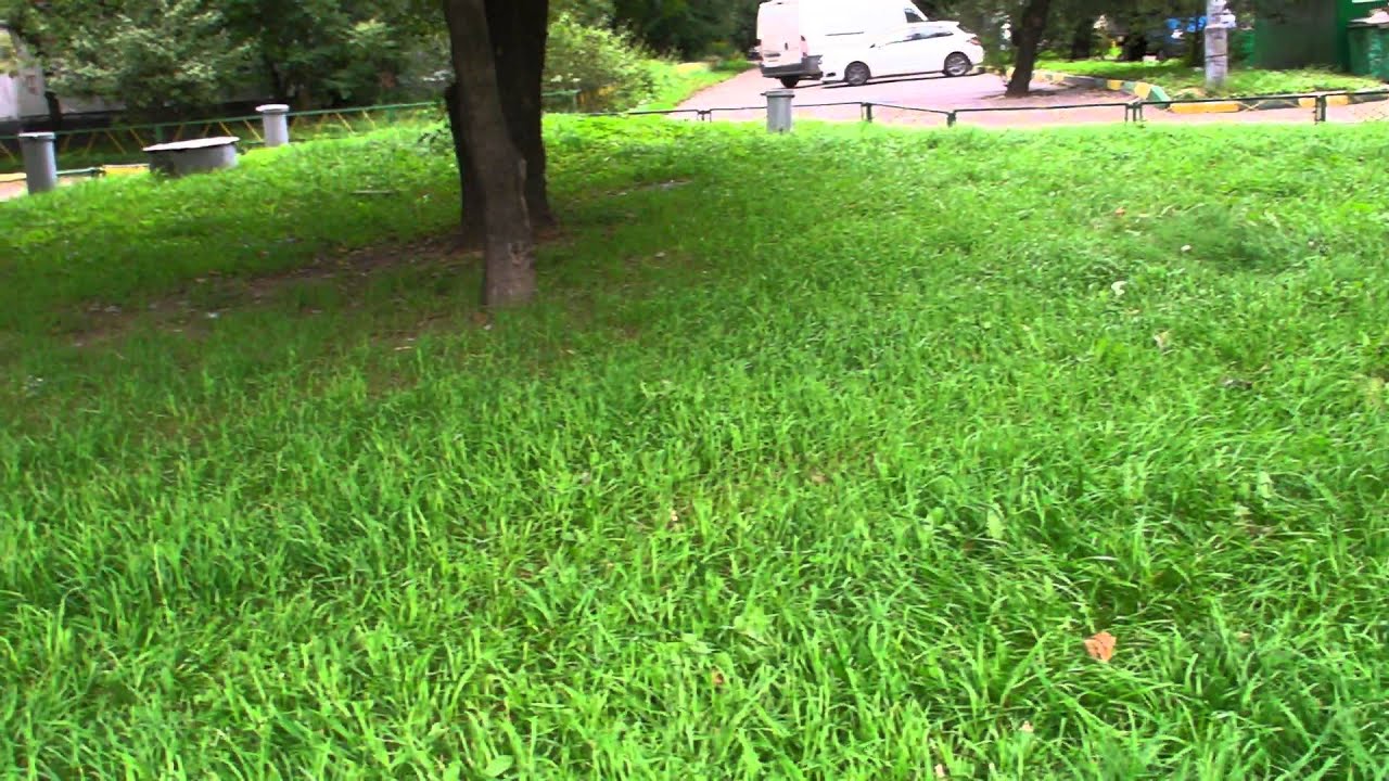 Первый тест БК подвеса с видео камерой. Very First Test Of Brushless Gimbal.