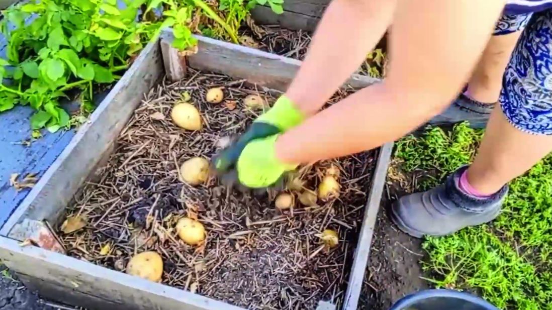 Продолжение вчерашнего дня , подводим итоги ...