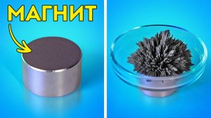 Невероятные эксперименты в домашних условиях! 🧪🔥 Легко и зрелищно