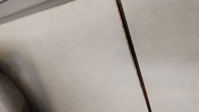 4055.mp4