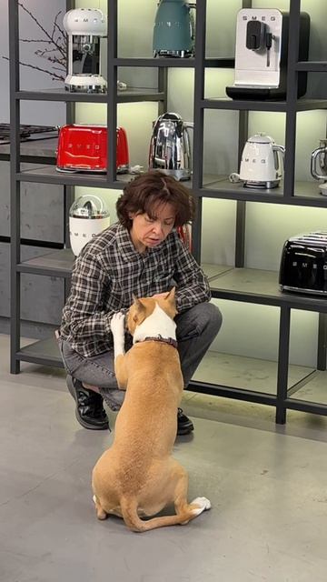 Главный эксперт шоурума SMEG
