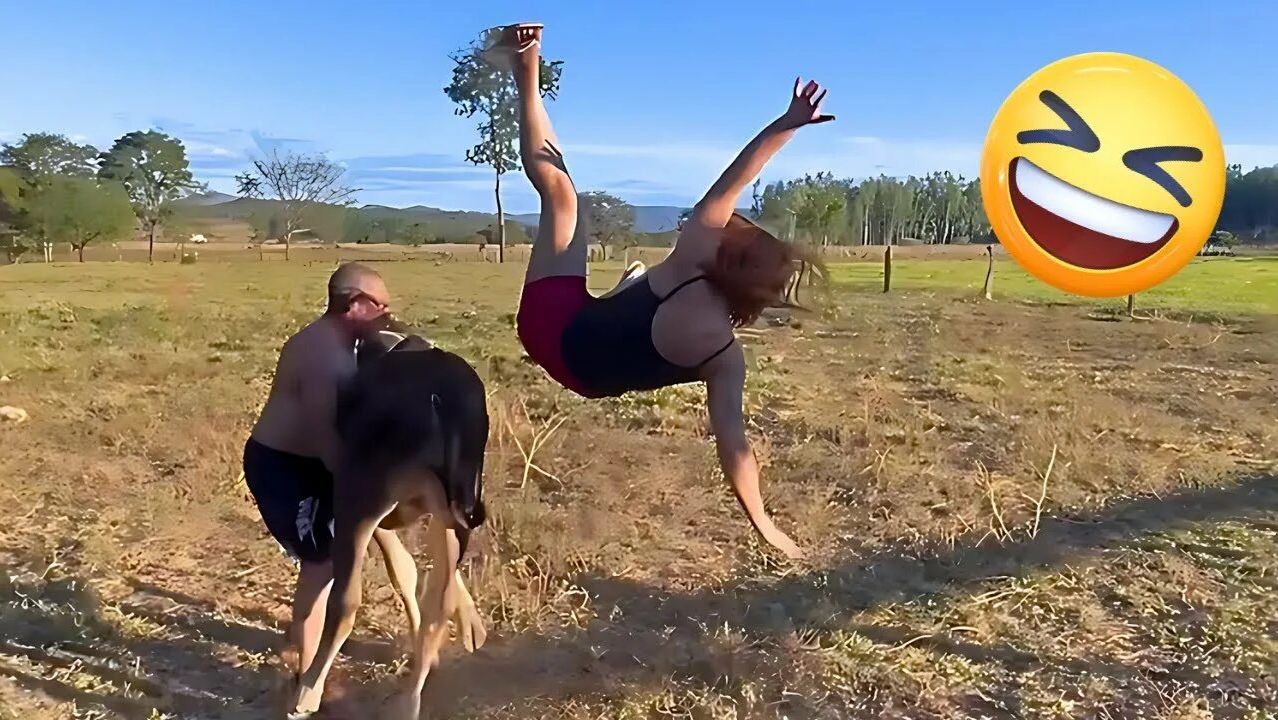 ПОПРОБУЙ НЕ РАССМЕЯТЬСЯ СБОРНИК 2026 😆😅 МемыTRY NOT TO LAUGH COMPILATION 2026 😆😅 Memes PART