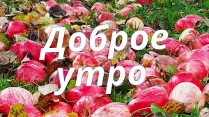 С добрым летним утром. Красивая музыкальная открытка.