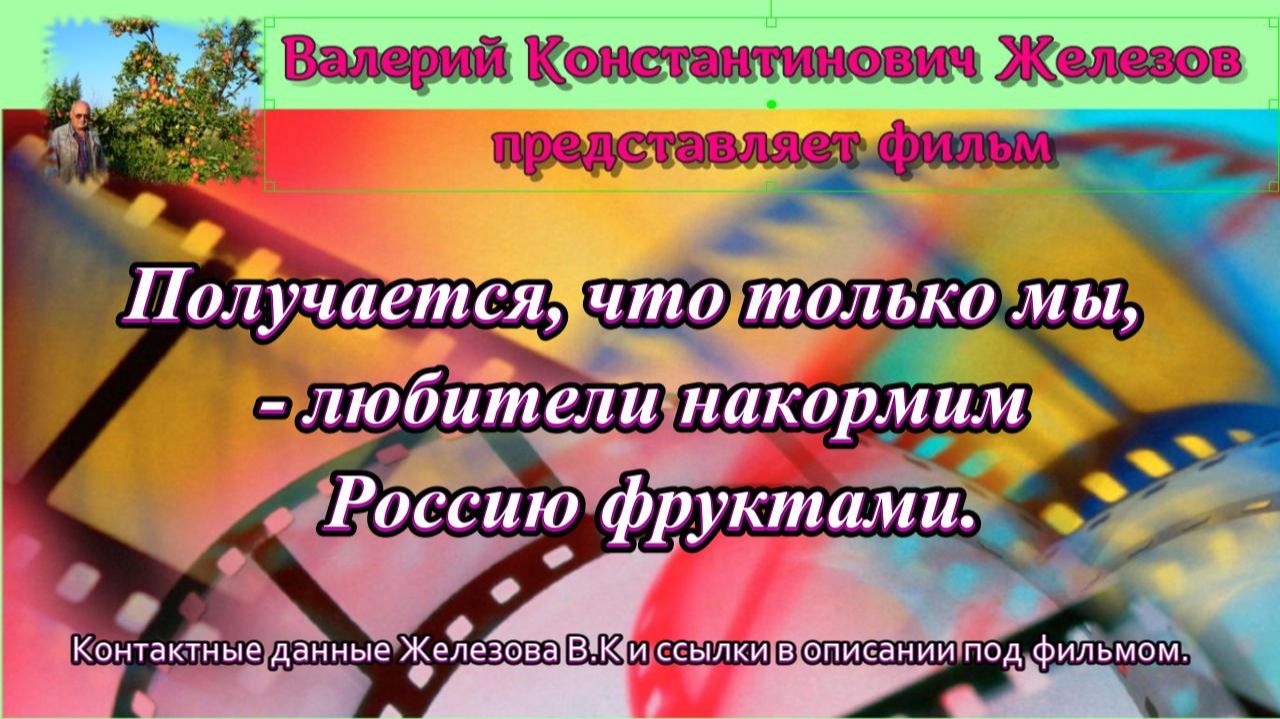 Получается, что только мы, любители накормим Россию фруктами.