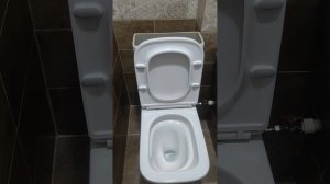 Унитаз - торнадо Azario в работе.