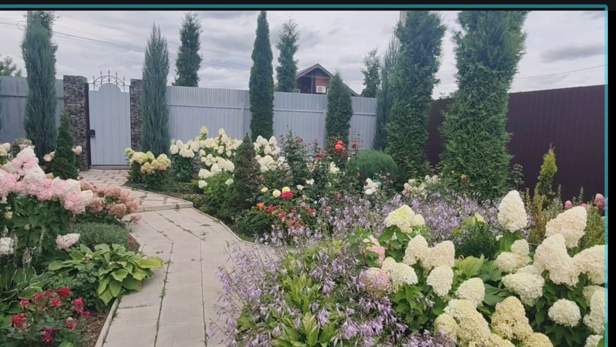 Теплица, виноград, сад, цветы 19.08.2026г.