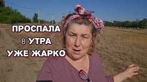 Что за жизнь среди соломы, моя деревня