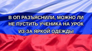 |Н. РФ| В ОП разъяснили, можно ли не пустить ученика на урок из-за яркой одежды