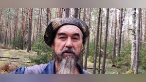 Собирал грибы на зиму