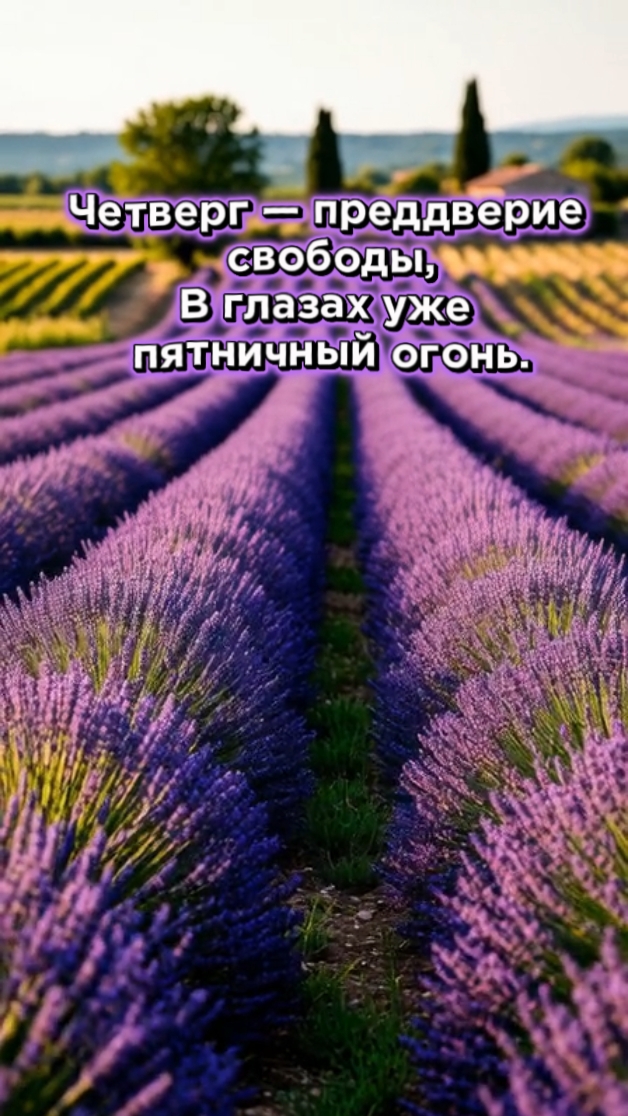 Доброе утро!