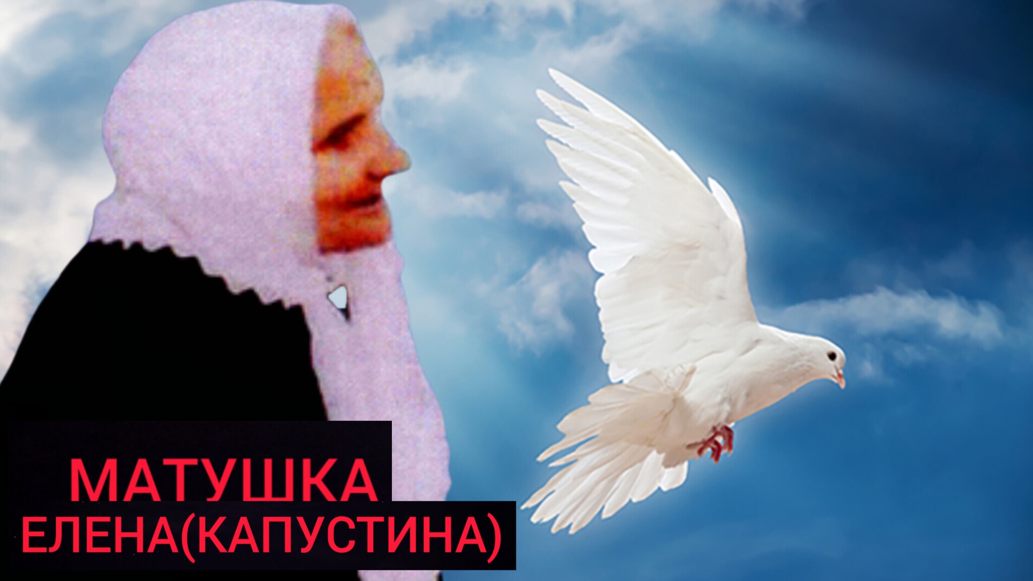 ГОЛУБИ ВЫМАЛИВАЮТ СМЕРТНЫЕ ГРЕХИ.МАТУШКА БЛАЖЕННАЯ ЕЛЕНА( КАПУСТИНА) ч.2