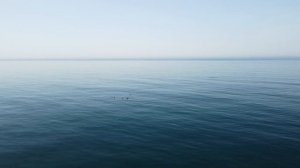 Спокойное море, фон - футаж