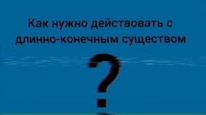 Главное управление [мчс Сосновкой Области] длинно-конечное существо