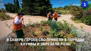 В Севастополе в сквере СВО привели в порядок клумбы и обрезали розы