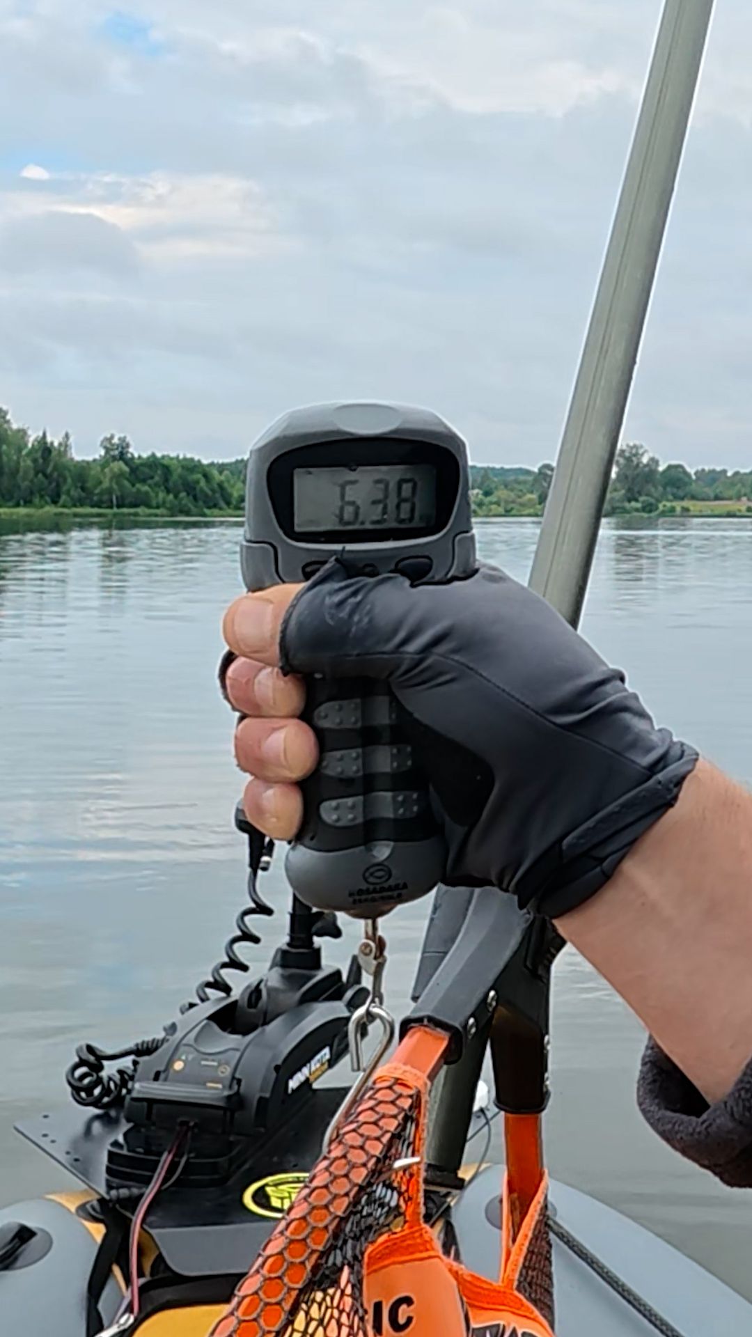 Smol Fish желтопуз!!! Liqid #fishing #трофейныйсудак #Smolfish #Bigzander