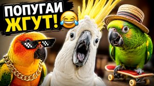 Попугаи жгут!