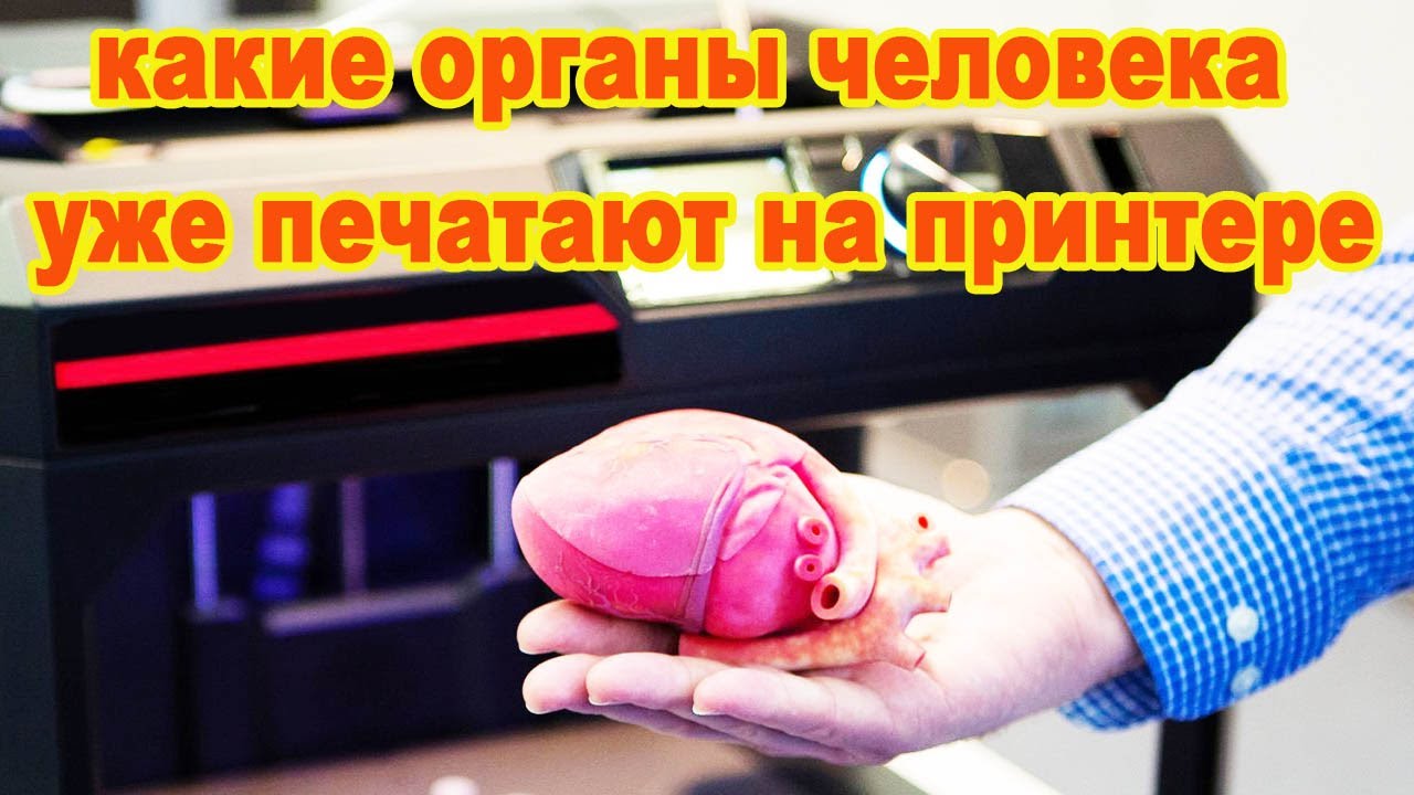 Какие органы человека уже печатают на 3D принтере?