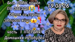 1 часть. Весь ПЛАН пошёл ПО ЗВЕЗДЕ😭❗️С@пля со страху облизал яйцо❗️