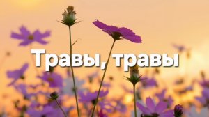 Травы, травы