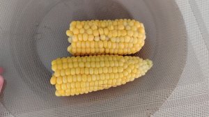 ВЛОГ ПРИКОЛЫ ОТ СЕМЁНА🫣 Опять помидоры?🍅