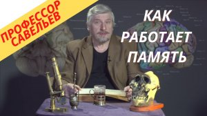 Профессор Савельев - как работает наша память