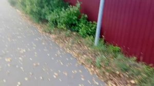 территория