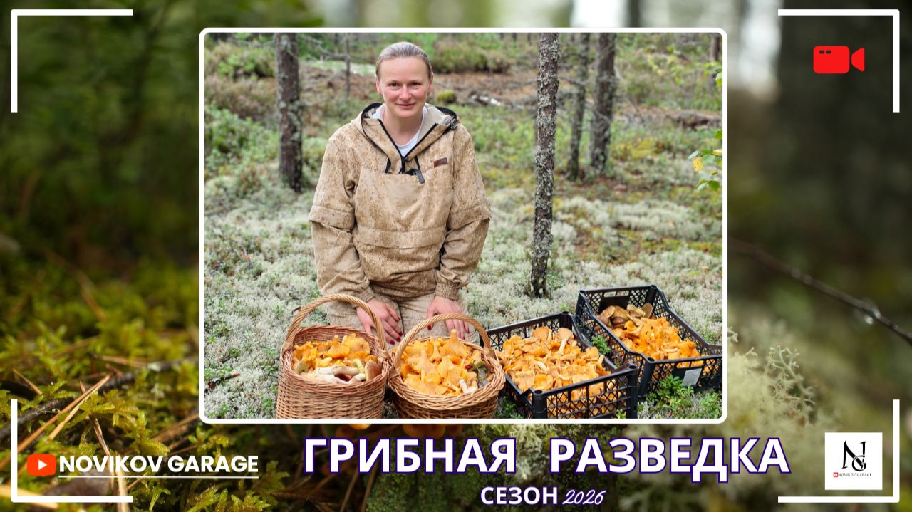 Грибная разведка 19  августа 2026. Лодейнопольский район.