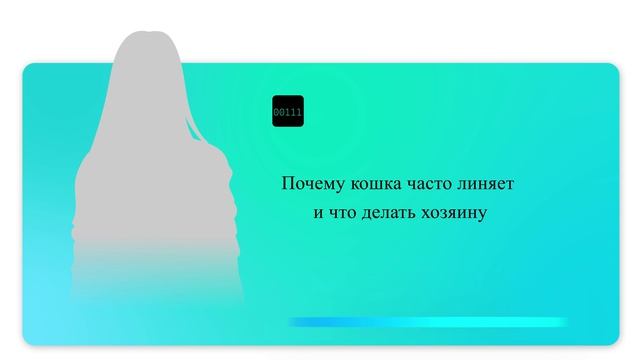 Почему кошка часто линяет и что делать хозяину