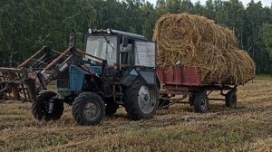 Как лучше вывозить сено с поля домой !!На тракторе или на самосвале ??