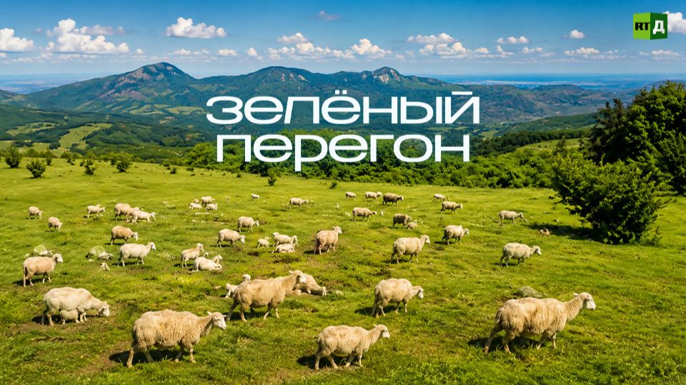 Зелёный перегон