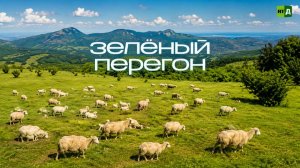 Зелёный перегон