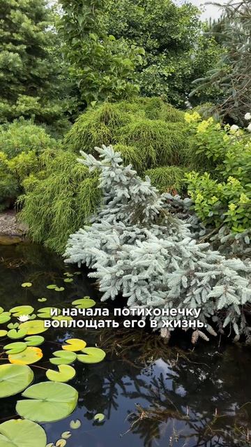 Сад как с картинки миф или реальность?